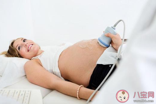 做超声检查时医生为什么要在患者肚子上涂粘粘的东西 最新蚂蚁庄园4月9日答案 做超声检查时医生为什么要在患者肚子上涂粘粘的东西 最新蚂蚁庄园4月9日答案