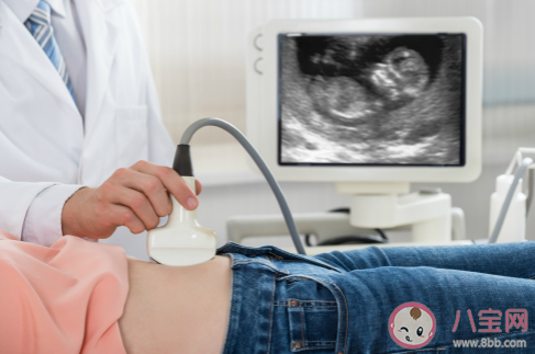 做超声检查时医生为什么要在患者肚子上涂粘粘的东西 最新蚂蚁庄园4月9日答案 做超声检查时医生为什么要在患者肚子上涂粘粘的东西 最新蚂蚁庄园4月9日答案