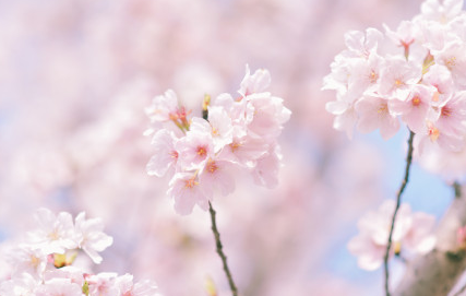 武汉重启一周年朋友圈文案 武汉重启一周年加油说说