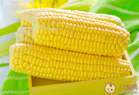 玉米价格创历史新高是怎么回事 2021玉米为什么涨价了 玉米价格创历史新高是怎么回事 2021玉米为什么涨价了