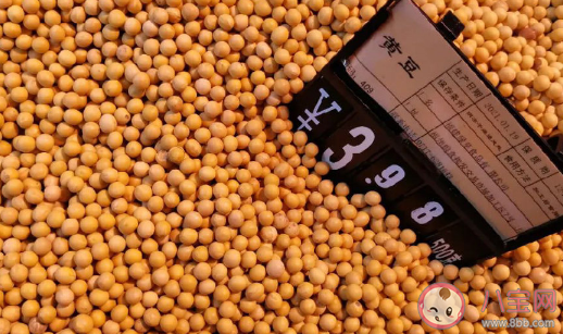 玉米价格为什么大涨 玉米价格何时恢复正常