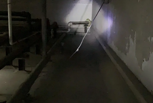 职业寻宠人是什么职业 职业寻宠人工作是怎样的 职业寻宠人是什么职业 职业寻宠人工作是怎样的