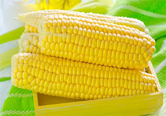 玉米价格创历史新高是怎么回事 2021玉米为什么涨价了