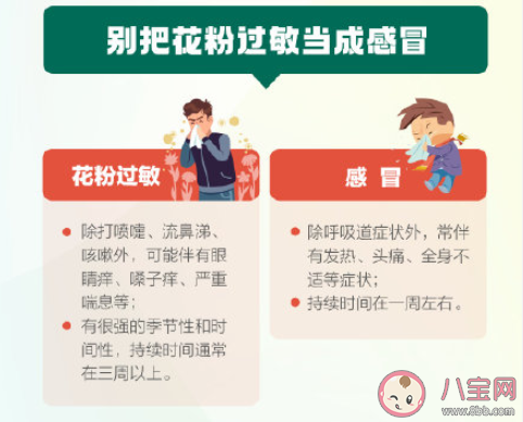 远离花为何还会花粉过敏 花粉过敏日常该怎么防护