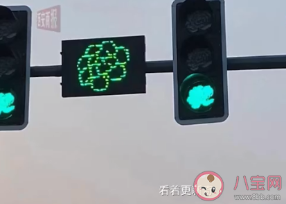 洛阳哪些地方红绿灯变成牡丹形状 牡丹花对洛阳有什么意义