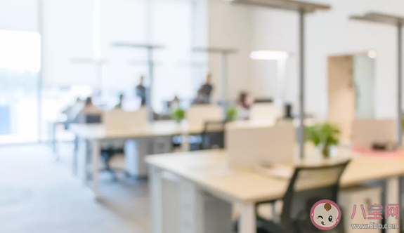 春天带孩子去这些地方更加优秀 提升孩子阅历的方法