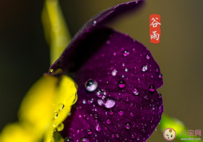 2021谷雨节气有意义的古诗大全 2021谷雨节气经典古诗赏析