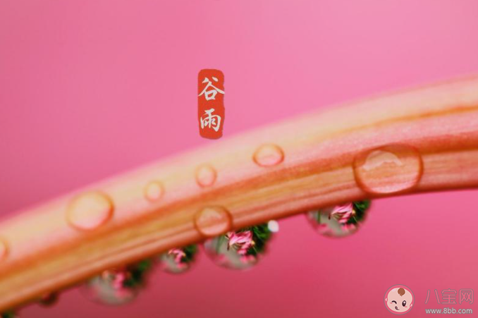 2021谷雨节气有意义的古诗大全 2021谷雨节气经典古诗赏析