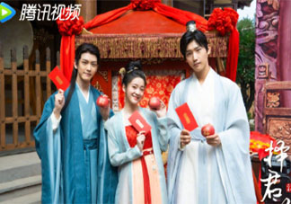 《择君记》原著小说是什么 《择君记》剧情演员简介
