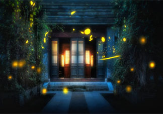 云南发现3个萤火虫新种是怎么回事 萤火虫喜欢生活在哪些地方