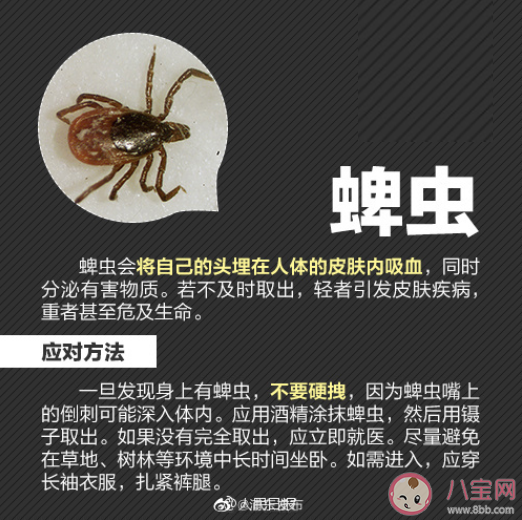 被蜱虫叮咬就有致命危险吗 被蜱虫咬伤后有什么症状表现