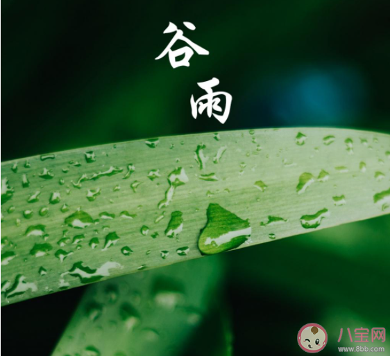 2021幼儿园谷雨节气活动报道美篇 2021幼儿园谷雨主题报道新闻稿