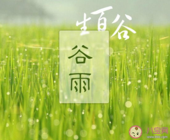 2021幼儿园谷雨节气活动报道美篇 2021幼儿园谷雨主题报道新闻稿