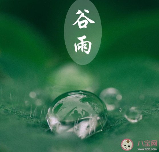2021幼儿园谷雨节气活动报道美篇 2021幼儿园谷雨主题报道新闻稿