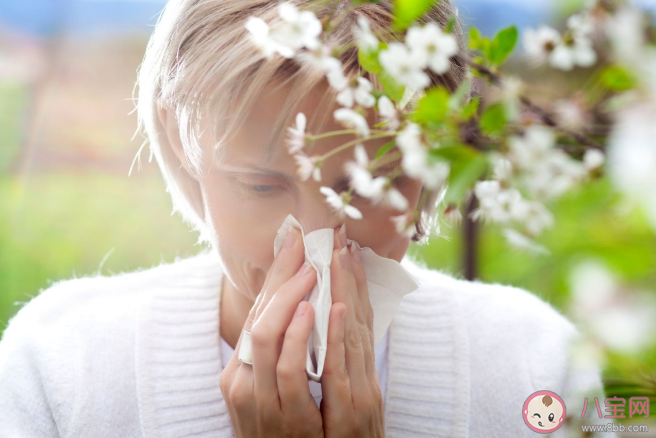 如何判断自己是否柳絮过敏 防柳絮过敏方法技能
