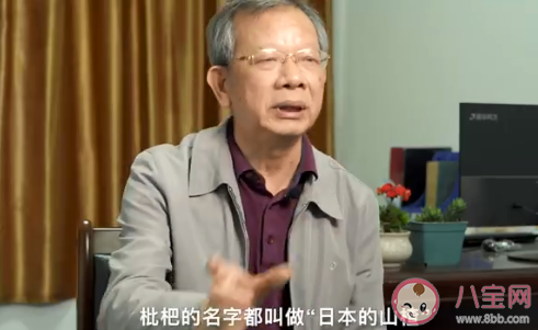 科学家用一辈子为枇杷改名是怎么回事 枇杷原产地是哪个国家 科学家用一辈子为枇杷改名是怎么回事 枇杷原产地是哪个国家