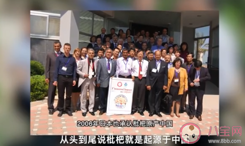 科学家用一辈子为枇杷改名是怎么回事 枇杷原产地是哪个国家 科学家用一辈子为枇杷改名是怎么回事 枇杷原产地是哪个国家