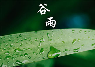 2021幼儿园谷雨节气活动报道美篇 2021幼儿园谷雨主题报道新闻稿