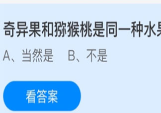 蚂蚁庄园4月13日答案：奇异果和猕猴桃是同一种水果吗