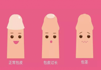 男孩包皮多长算正常 如何定义包皮过长