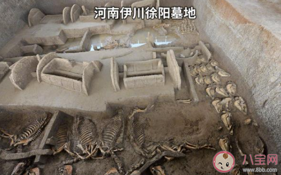 2020年度全国十大考古新发现揭晓 具体是哪十大考古发现 2020年度全国十大考古新发现揭晓 具体是哪十大考古发现