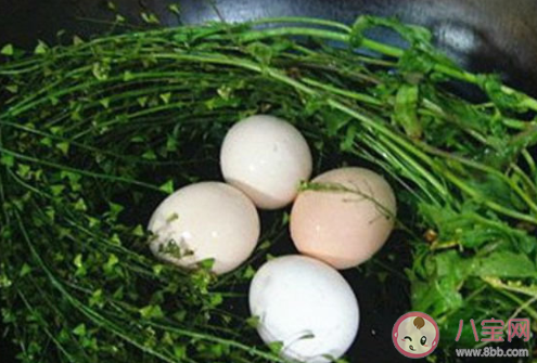 农历三月三吃地菜煮鸡蛋有什么说法寓意 三月三荠菜煮鸡蛋习俗是怎么来的 农历三月三吃地菜煮鸡蛋有什么说法寓意 三月三荠菜煮鸡蛋习俗是怎么来的