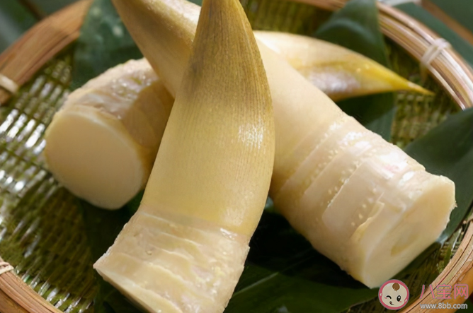 吃春笋会导致胃出血吗 哪些人不适合吃笋 吃春笋会导致胃出血吗 哪些人不适合吃笋