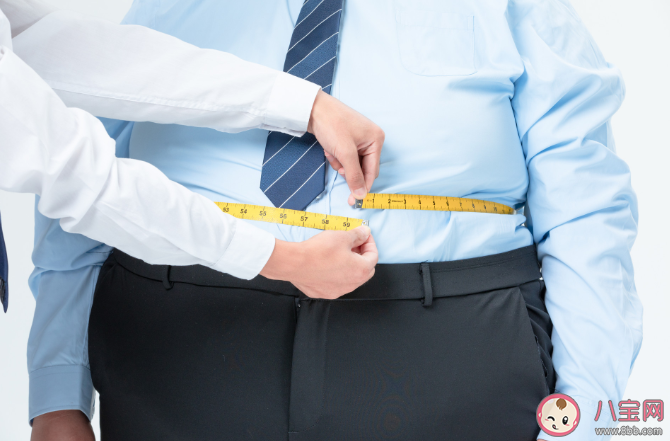 男人发福哪个部位可能会先胖起来 中年男性如何科学管理身材 男人发福哪个部位可能会先胖起来 中年男性如何科学管理身材