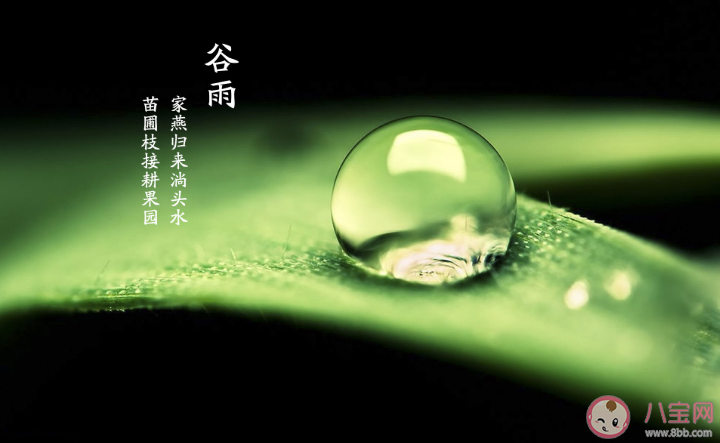 2021谷雨节气文案怎么写 谷雨创意文案示例句子分享