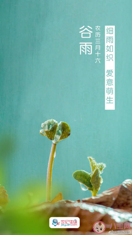 谷雨节气借势海报文案赏析 谷雨节气精选海报文案合集
