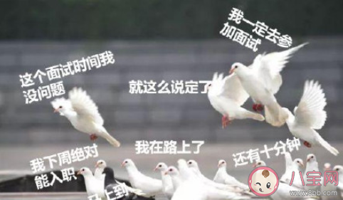 如何看待入职当天放鸽子行为 求职者为什么会在入职当天放鸽子