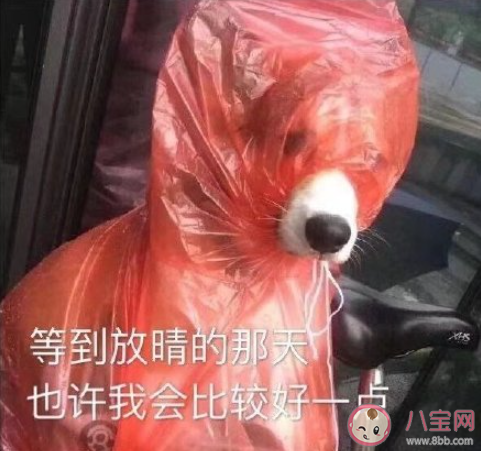 你的工资能够体面生活吗 你对自己的工资还满意吗
