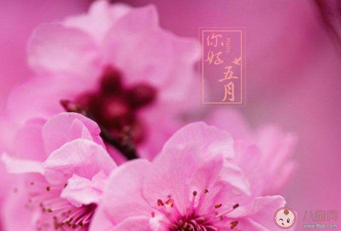4月最后一天的心情句子 4月最后一天朋友圈说说