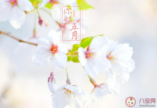 4月最后一天的心情句子 4月最后一天朋友圈说说