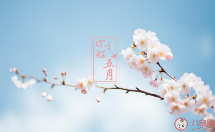 4月最后一天的心情句子 4月最后一天朋友圈说说