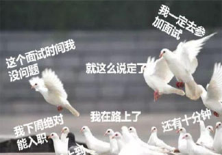 如何看待入职当天放鸽子行为 求职者为什么会在入职当天放鸽子