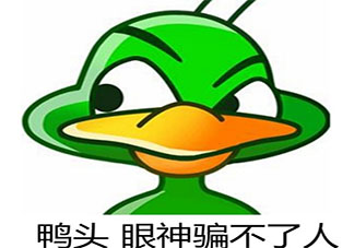 丫头文学经典语录说说 丫头文学经典句子大全