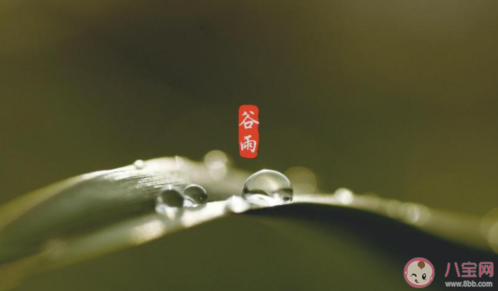 2021谷雨节气说说暖心 2021谷雨节气文案说说大全 2021谷雨节气说说暖心 2021谷雨节气文案说说大全