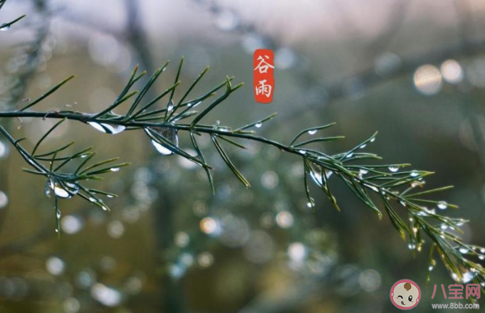 2021谷雨节气说说暖心 2021谷雨节气文案说说大全 2021谷雨节气说说暖心 2021谷雨节气文案说说大全