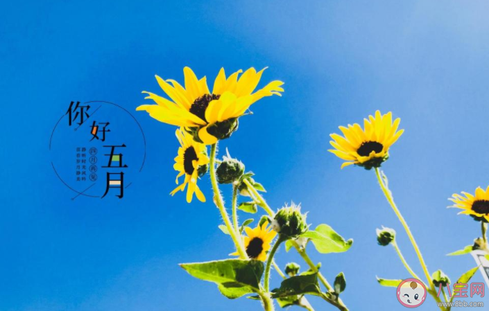 2021五月第一天图片早安心语文案说说 2021五月第一天早安句子配图 2021五月第一天图片早安心语文案说说 2021五月第一天早安句子配图