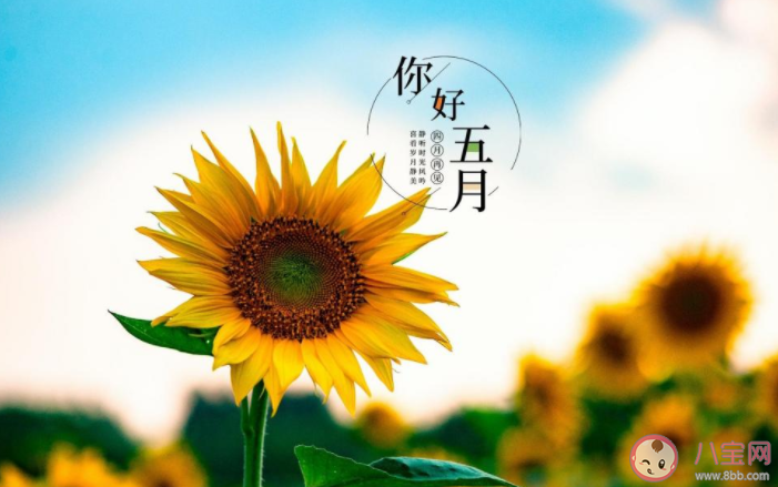 2021五月第一天图片早安心语文案说说 2021五月第一天早安句子配图 2021五月第一天图片早安心语文案说说 2021五月第一天早安句子配图