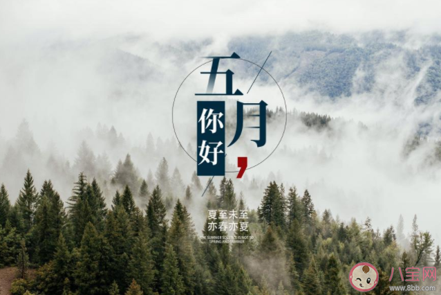 2021五月请对我好一点朋友圈说说 2021五月请善待我朋友圈句子 2021五月请对我好一点朋友圈说说 2021五月请善待我朋友圈句子