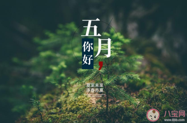 2021五月请对我好一点朋友圈说说 2021五月请善待我朋友圈句子 2021五月请对我好一点朋友圈说说 2021五月请善待我朋友圈句子