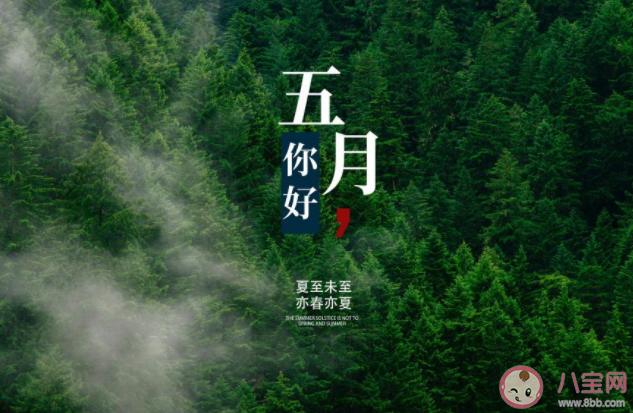 2021五月请对我好一点朋友圈说说 2021五月请善待我朋友圈句子 2021五月请对我好一点朋友圈说说 2021五月请善待我朋友圈句子