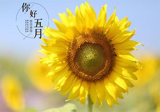 2021五月第一天图片早安心语文案说说 2021五月第一天早安句子配图