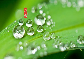 2021谷雨节气说说暖心 2021谷雨节气文案说说大全