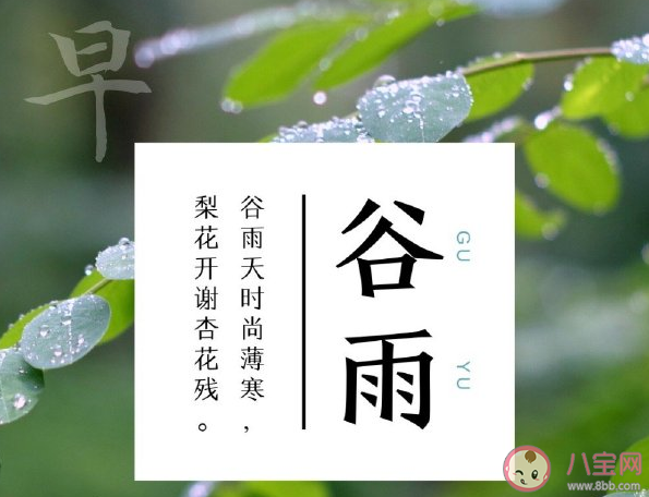 2021谷雨节气早安温暖问候语句子 谷雨节气早安一句话说说 2021谷雨节气早安温暖问候语句子 谷雨节气早安一句话说说