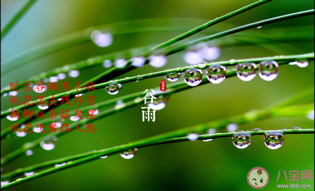 2021谷雨节气早安温暖问候语句子 谷雨节气早安一句话说说 2021谷雨节气早安温暖问候语句子 谷雨节气早安一句话说说