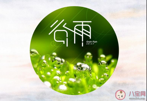 2021谷雨节气早安温暖问候语句子 谷雨节气早安一句话说说 2021谷雨节气早安温暖问候语句子 谷雨节气早安一句话说说