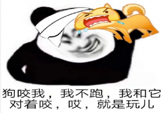 抖音哎就是玩儿是什么梗什么意思 就是玩儿梗出处来源是哪里